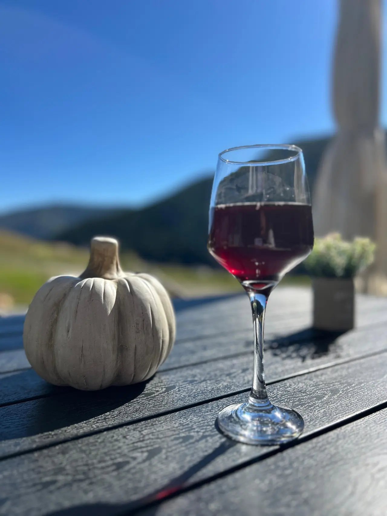 Rotwein und Kürbisse auf der Terrasse im Herbst